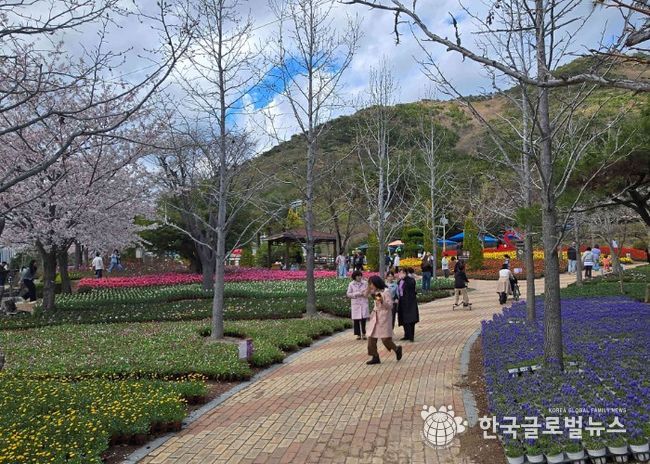 독봉산웰빙공원, 수만 송이 봄꽃전시 한창