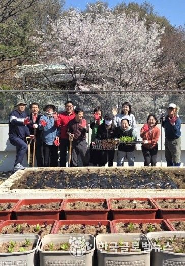 광명시 광명5동 지역사회보장협의체는 지난 8일 ‘너부대 옥상 텃밭’에서 위원과 동 직원 10여 명이 참여한 가운데 상추와 고추 모종을 심었다.