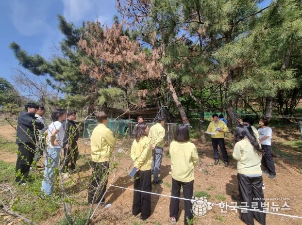 시흥시 첫 소나무재선충병 발생